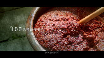 永豐辣醬廣告策劃方案