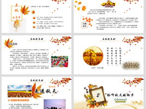 秋季的活動(dòng)策劃方案