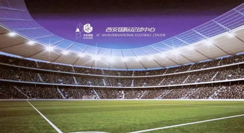 大型足球策劃方案