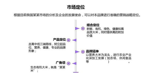 成都天樂城北項目營銷策劃方案
