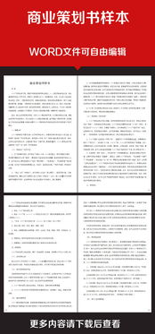 商業(yè)服務(wù)策劃方案范本