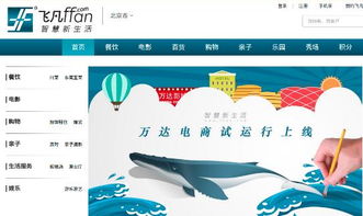 萬達(dá)電商策劃方案