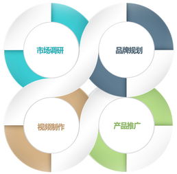 電商產(chǎn)品營銷策劃方案