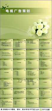 電視廣告策劃方案范文