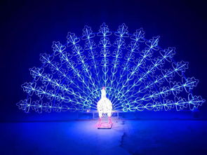 燈光節(jié)活動(dòng)策劃方案