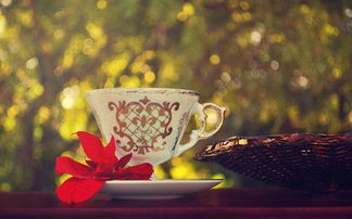 正能量滿滿的勵志句子,雨天幽默正能量的句子,正能量孝順老人的句子