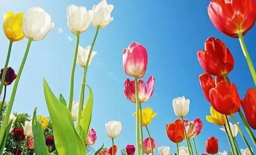 句子,能量,感謝,老師