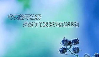 早上正能量的話語短句子