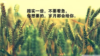 早上勵(lì)志正能量的句子早安,早上勵(lì)志的話正能量句子,早上勵(lì)志的說(shuō)說(shuō)正能量經(jīng)典句子