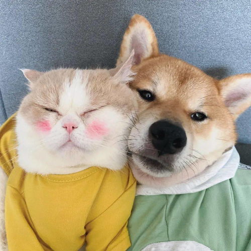 美好時光正能量的句子經(jīng)典語句