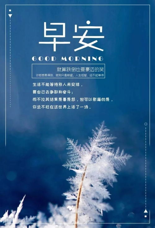 簡(jiǎn)短,句子,唯美,能量