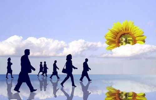 很皮內(nèi)涵的正能量句子