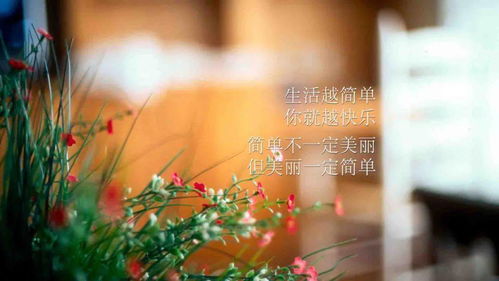 早上好勵(lì)志正能量句子,早上好的正能量句子帶,早上好發(fā)朋友圈的正能量句子和