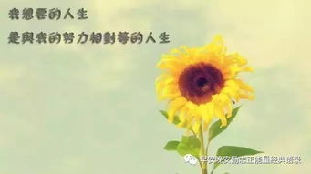 早安,句子,勵(lì)志,心語