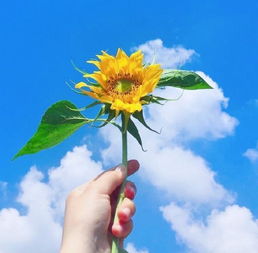 早安正能量的句子,晚安心態(tài)正能量的句子,心態(tài)正能量的句子