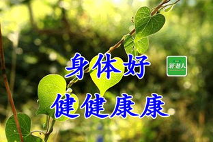 句子,能量,感謝,同學(xué)