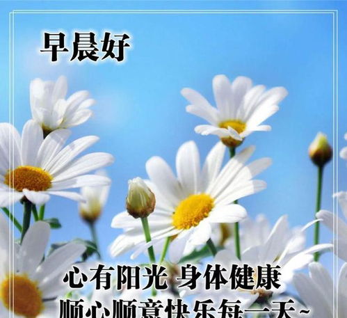 早上好發(fā)朋友圈的正能量句子和,早上好發(fā)朋友圈正能量句子周末,早上好朋友圈正能量句子簡(jiǎn)短