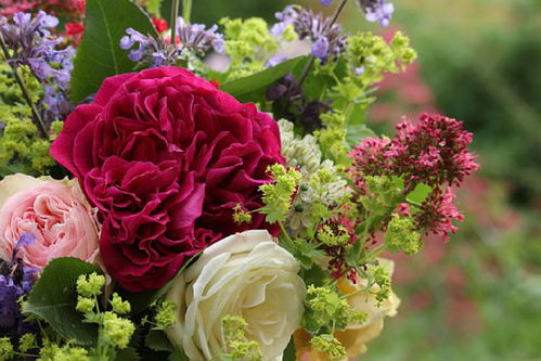 正能量滿(mǎn)滿(mǎn)智慧與美的句子