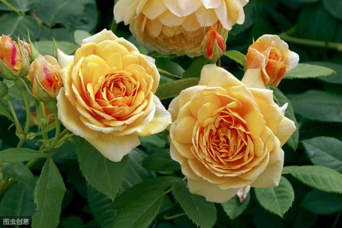 清晨發(fā)美食的正能量句子