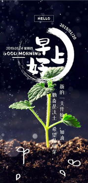 鼓勵(lì)初一兒子正能量的句子