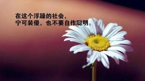 句子,能量,人生哲理