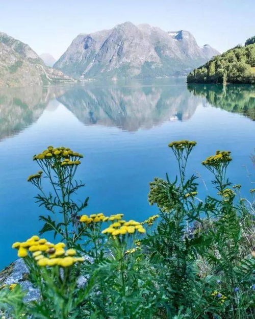 好心態(tài)的句子正能量女人