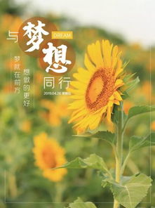 正能量感悟的經(jīng)典句子,人生感悟正能量的經(jīng)典句子,正能量的句子經(jīng)典語句