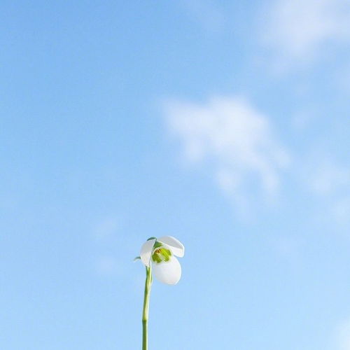 句子,能量,早上,適合