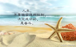 清晨的正能量唯美句子