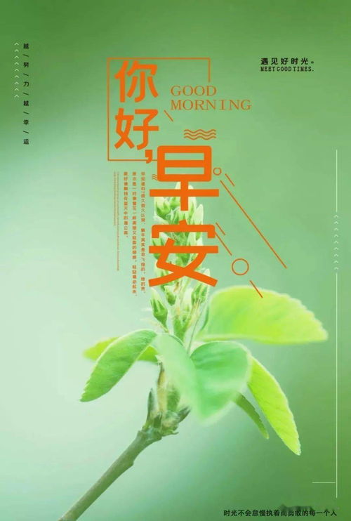 下雨早上發(fā)朋友圈的句子正能量