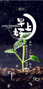 晨起工作激勵(lì)人心的正能量句子