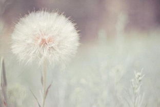 正能量的句子經(jīng)典語(yǔ)句,志愿者正能量的句子經(jīng)典語(yǔ)句,追星正能量的句子經(jīng)典語(yǔ)句