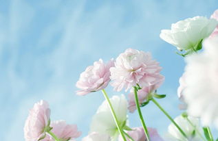 正能量句子簡(jiǎn)短感悟,工作正能量句子簡(jiǎn)短感悟,人生正能量勵(lì)志的句子感悟