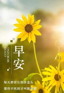 句子,早上好,能量