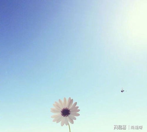 簡短,句子,能量,陽光