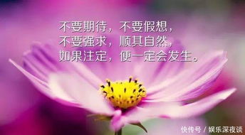句話,句子,能量