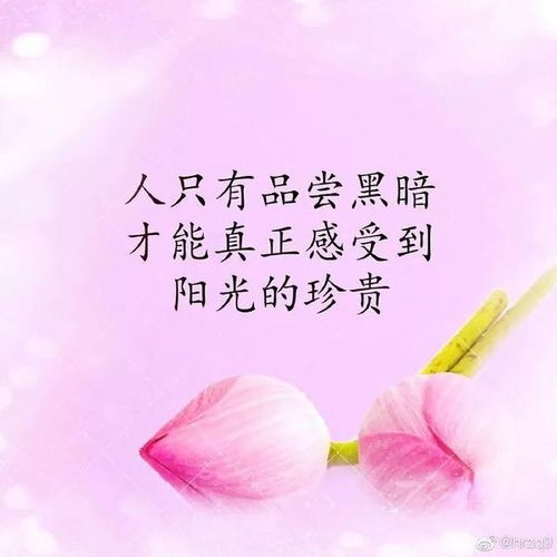 寶寶給自己正能量的句子