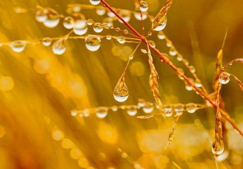 簡短,句子,知己,能量