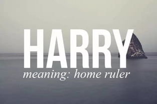 陽光心態(tài)正能量的句子英文,堅(jiān)持勵(lì)志正能量的句子英文,激勵(lì)上進(jìn)正能量句子英文