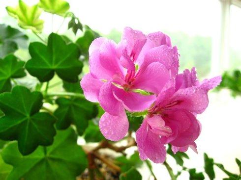 跨正能量發(fā)圈的句子