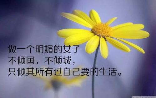 句子,能量,愛(ài)情網(wǎng),最新