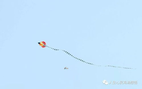 積極向上的句子正能量人生團隊,積極向上的句子青春正能量生活,積極向上的句子陽光人生正能量青春