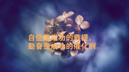 適合天冷早上發(fā)朋友圈的句子,早上怎么發(fā)朋友圈的句子,大早上發(fā)朋友圈的句子
