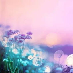 鼓勵(lì)孩子的正能量的句子經(jīng)典語(yǔ)句