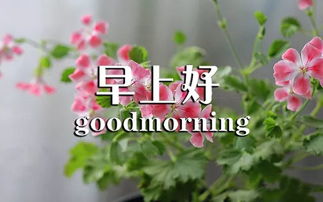 經(jīng)典,早安,句子,語錄