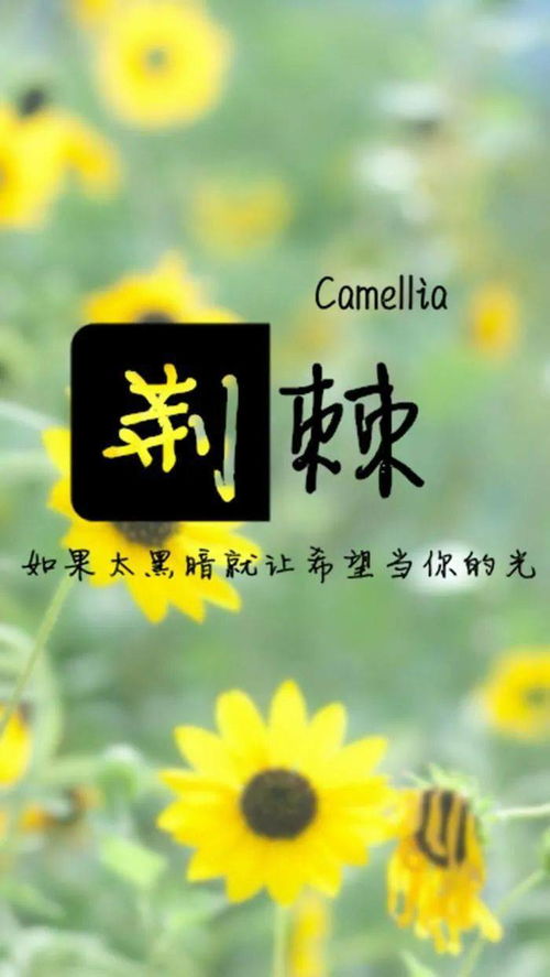 周一正能量句子短語