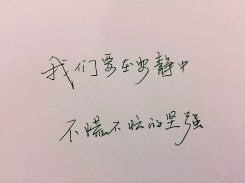 不慌不忙的正能量句子