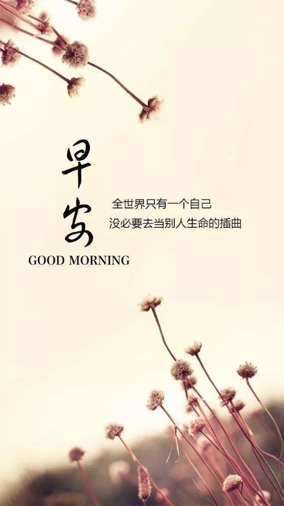 早安正能量的發(fā)圈語,2021早安心語正能量,早安正能量簡單句子發(fā)圈