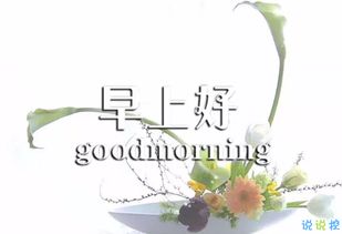 早上好勵志正能量句子,早上好正能量句子簡短,早上好朋友圈正能量句子簡短