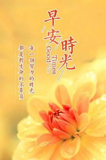 早安勵(lì)志心情正能量的句子說(shuō)說(shuō)心情短語(yǔ)